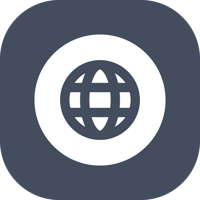 Visit ID Icon, a globe icon